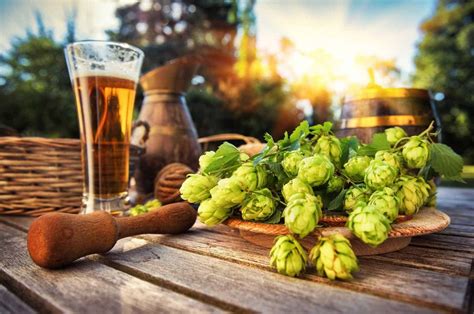 Hop-Fiend Approved: Where to Get Your Fix of Bold and Fruity Hoppy Beers